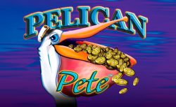 Pelican Pete